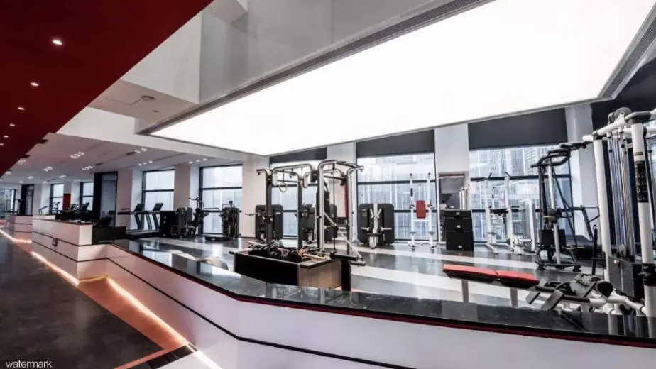 שערי מהירות צבעוניים מותאמים אישית