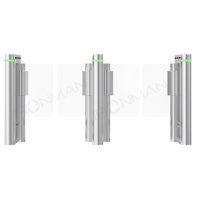 הגנה נגד סטטית לשער מהירות