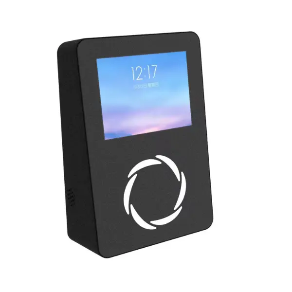 קצה וריד הדקל