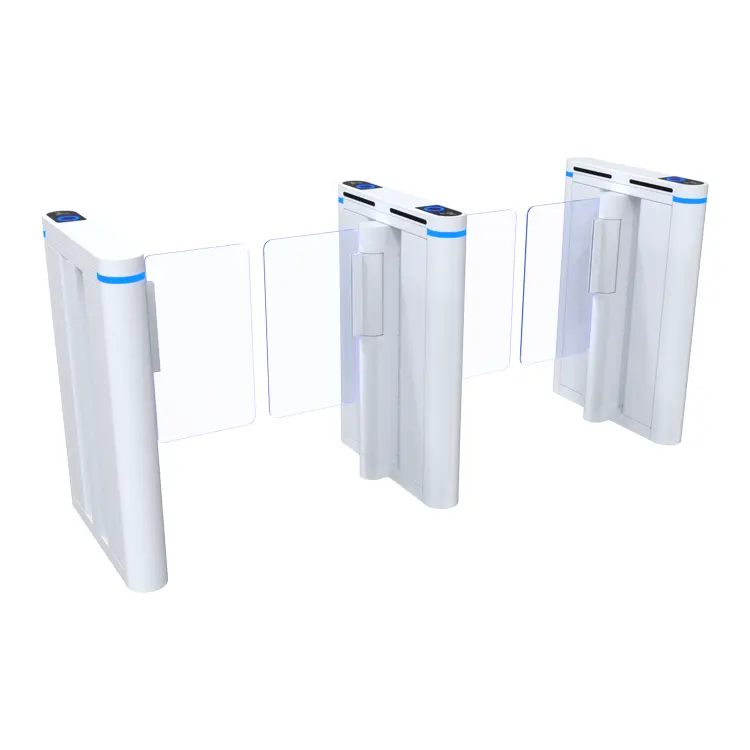 שער מהירות נגד טיילגייטינג