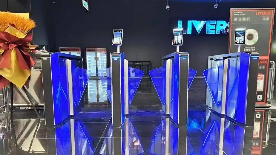 שער הפנייה לגישה ניידת